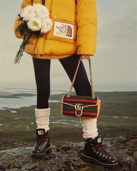 the north face x gucci 2022|north face gucci full collection.